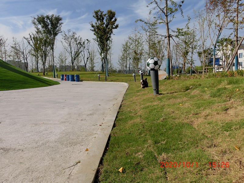 CIMG1974 (復制).JPG